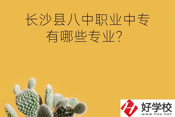 長(zhǎng)沙縣八中職業(yè)中專(zhuān)好不好？有哪些專(zhuān)業(yè)？