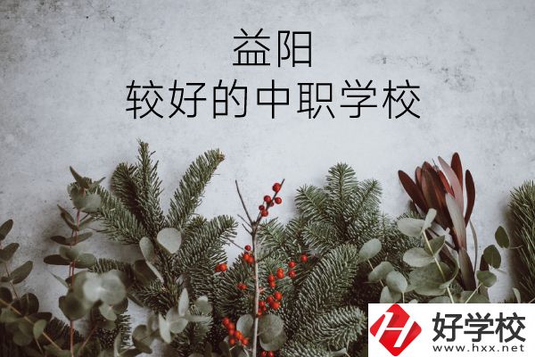 益陽有哪些中職學(xué)校比較好？