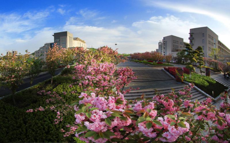 2024年花垣縣中等職業(yè)技術(shù)學(xué)校有哪些專業(yè)