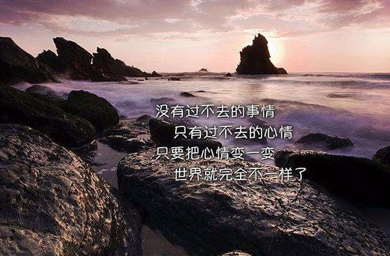 棗陽職教中心學(xué)校2025年報名需要滿足哪些條件