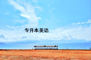 專升本英語(yǔ)