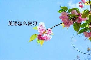 英語怎么復習