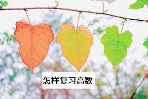 怎樣復習高數(shù)