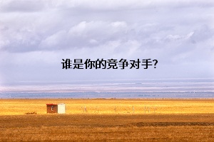 誰(shuí)是你的競(jìng)爭(zhēng)對(duì)手？