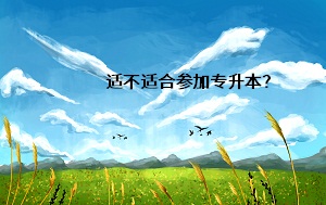 適不適合參加專升本？