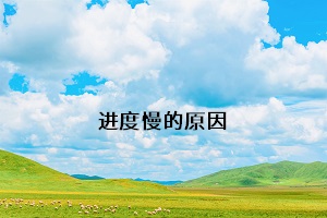 進度慢的原因