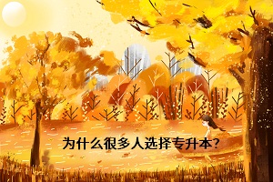 為什么很多人選擇專升本？