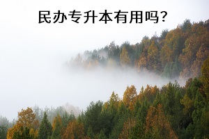 民辦專升本有用嗎？