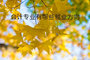 會計(jì)專業(yè)有哪些就業(yè)方向