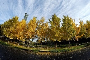 大專第三年才開始準備普通專升本考試來得及嗎？該如何備考？