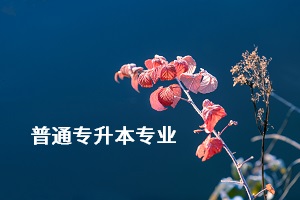 荊楚理工學(xué)院專升本的專業(yè)有哪些？專業(yè)考試難不難？