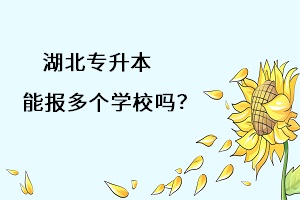 湖北專(zhuān)升本能報(bào)多個(gè)學(xué)習(xí)嗎？